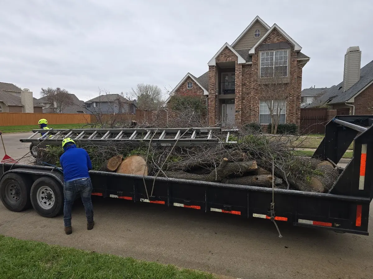 Expert Tree Fertilization with proper safety equipment in Fishs Eddy